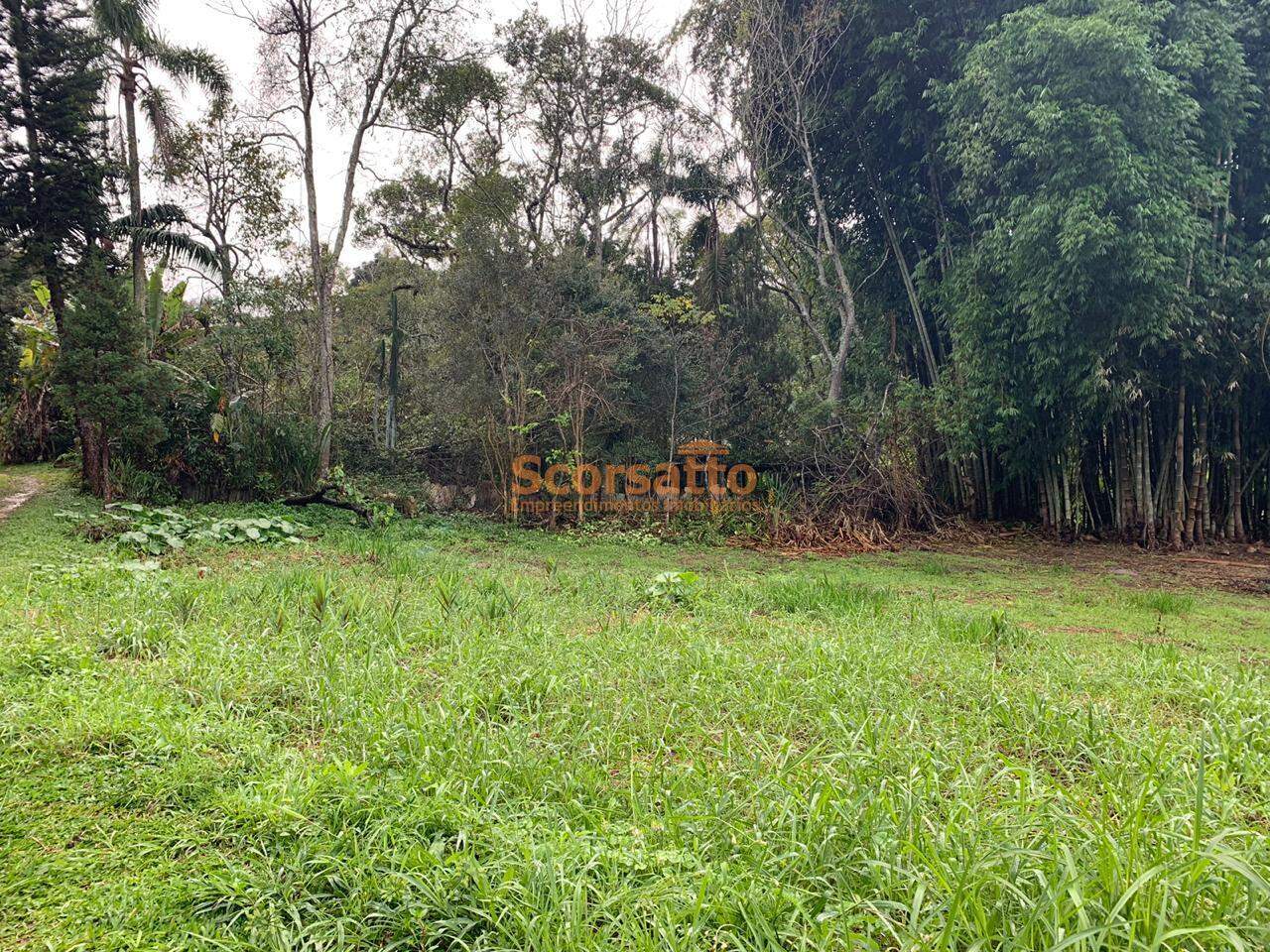 Terreno à venda no Itaquaciara : 