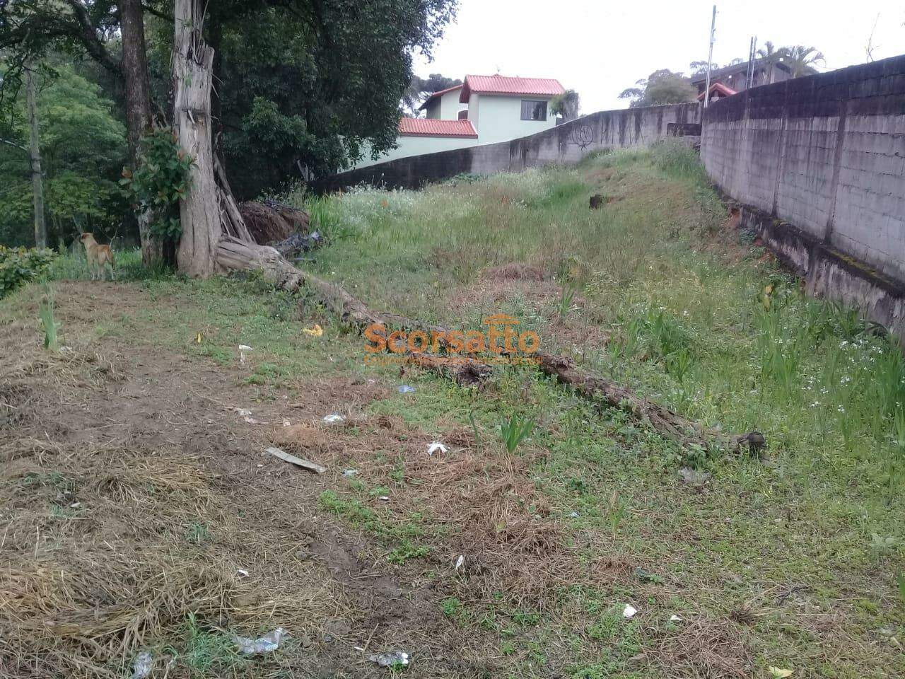 Terreno à venda no Jardim Marilú: 