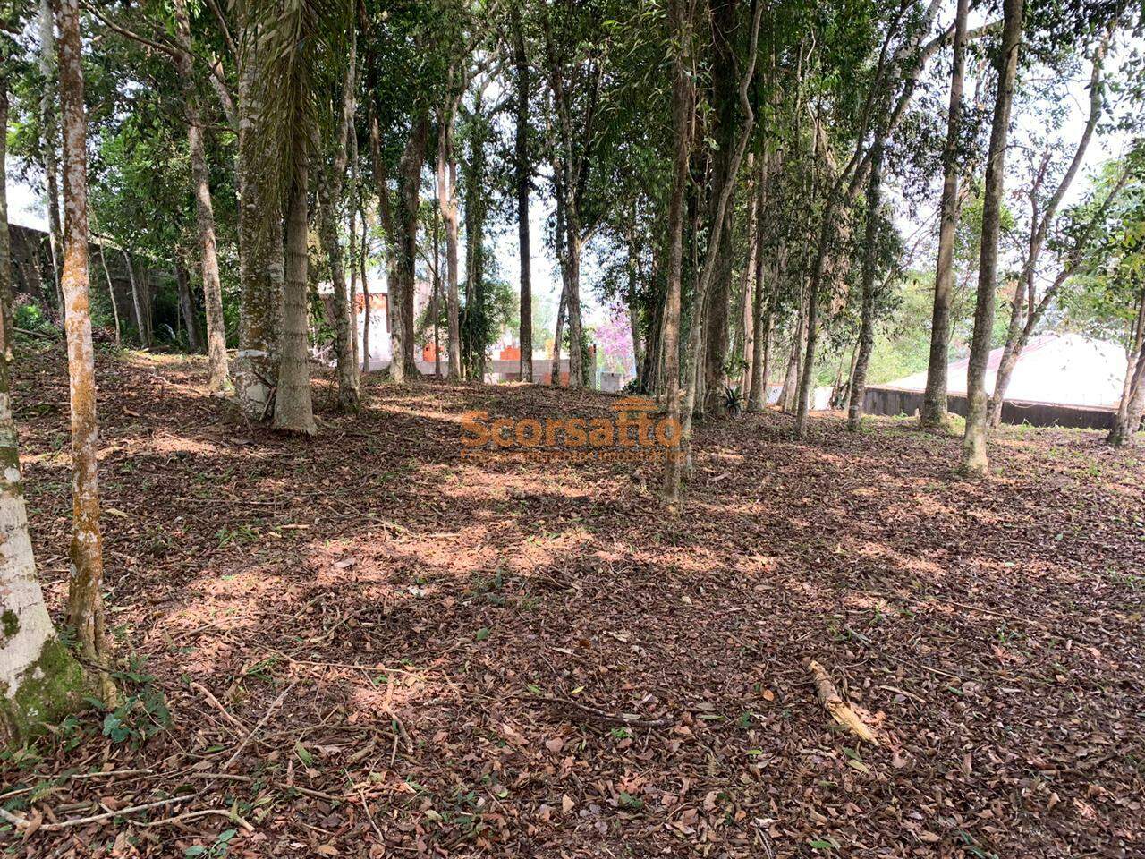 Terreno de Condomínio à venda no Chácara da Lagoa: 