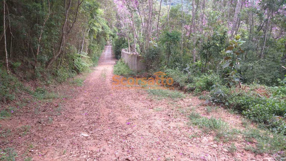 Terreno à venda no Palmeiras: 