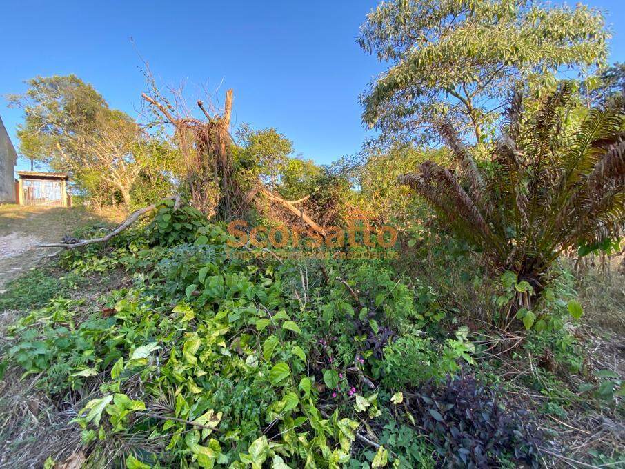 Área à venda no Jardim Paraíso: 