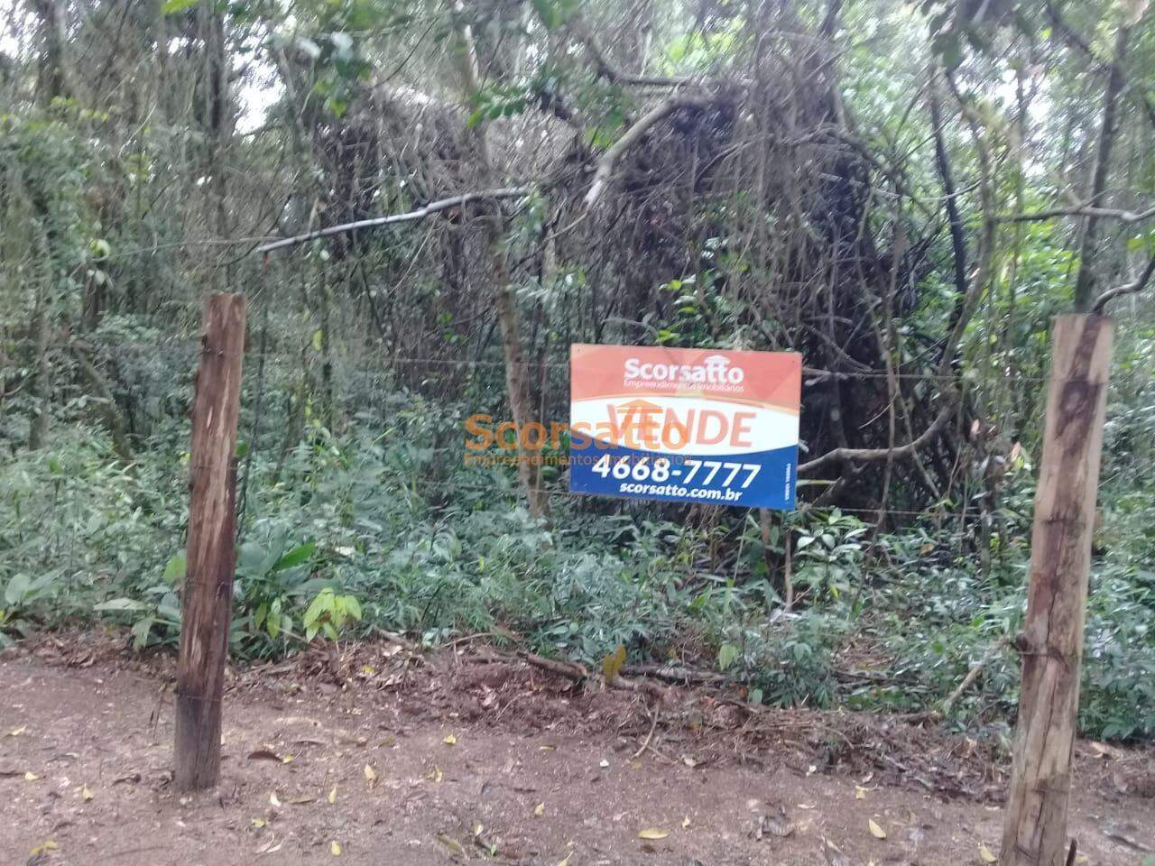 Terreno à venda no Lagoa: 