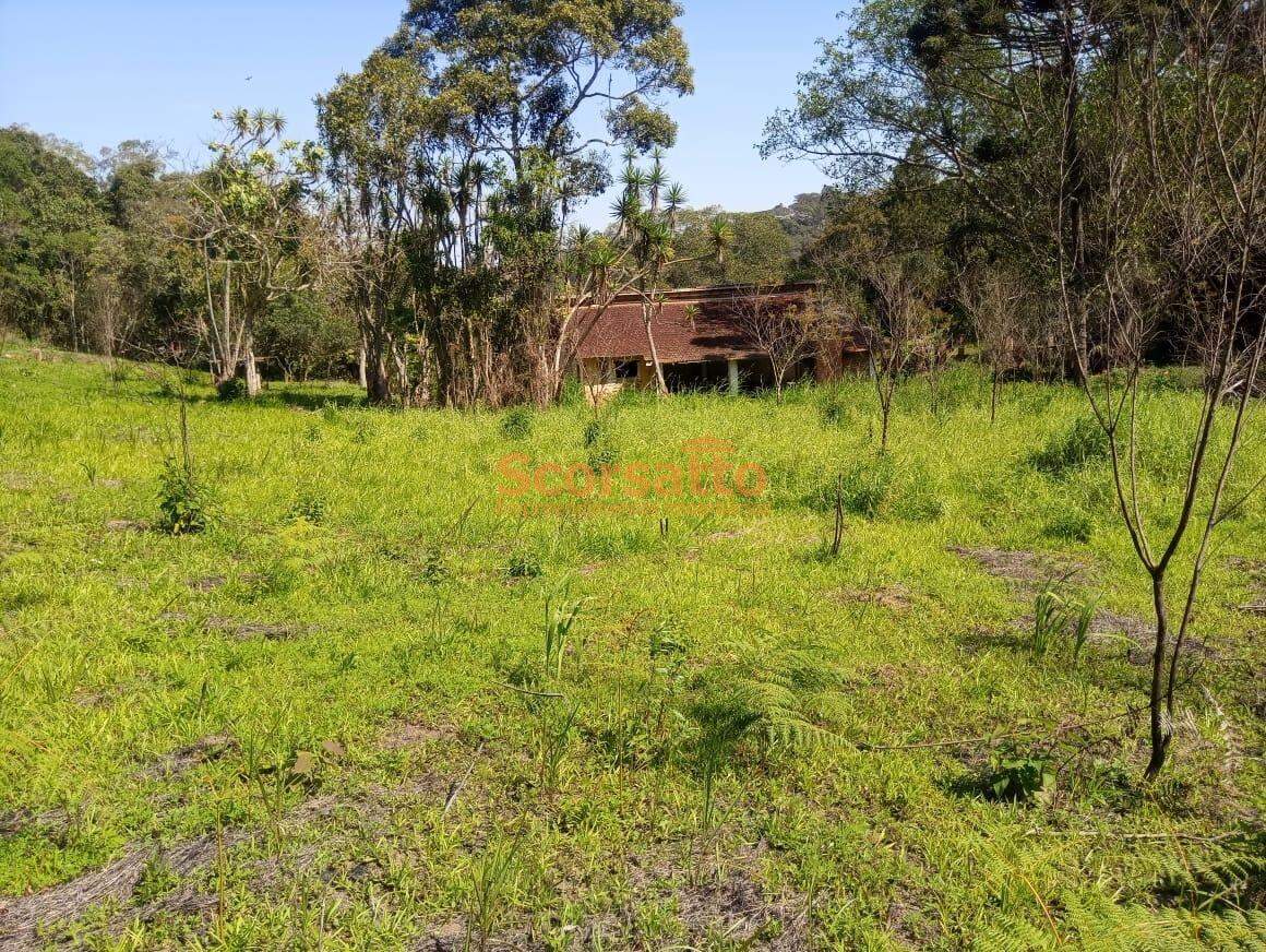 Terreno à venda no Mombaça: 