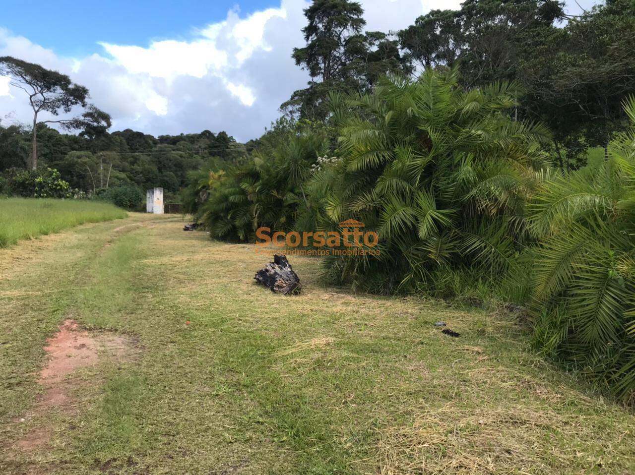 Área à venda no Jardim Nisalves: 