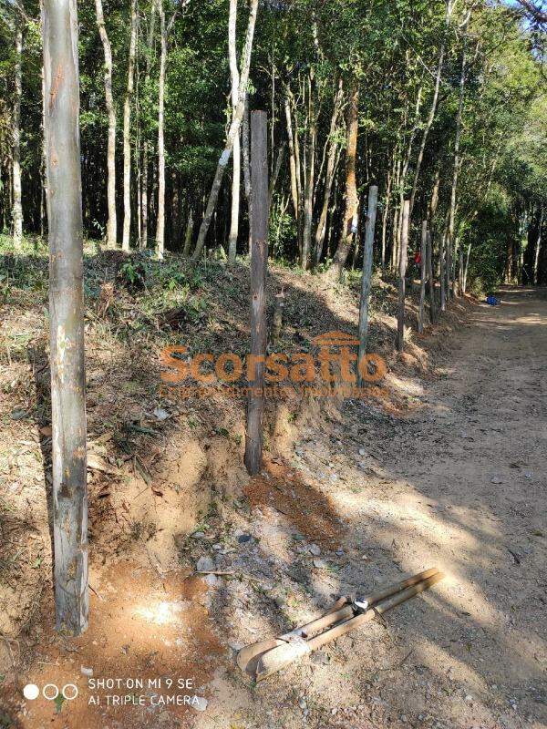 Terreno à venda no Palmeiras: 