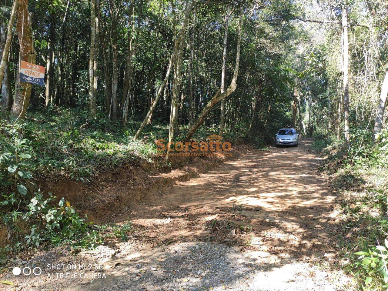 Terreno à venda no Palmeiras: 