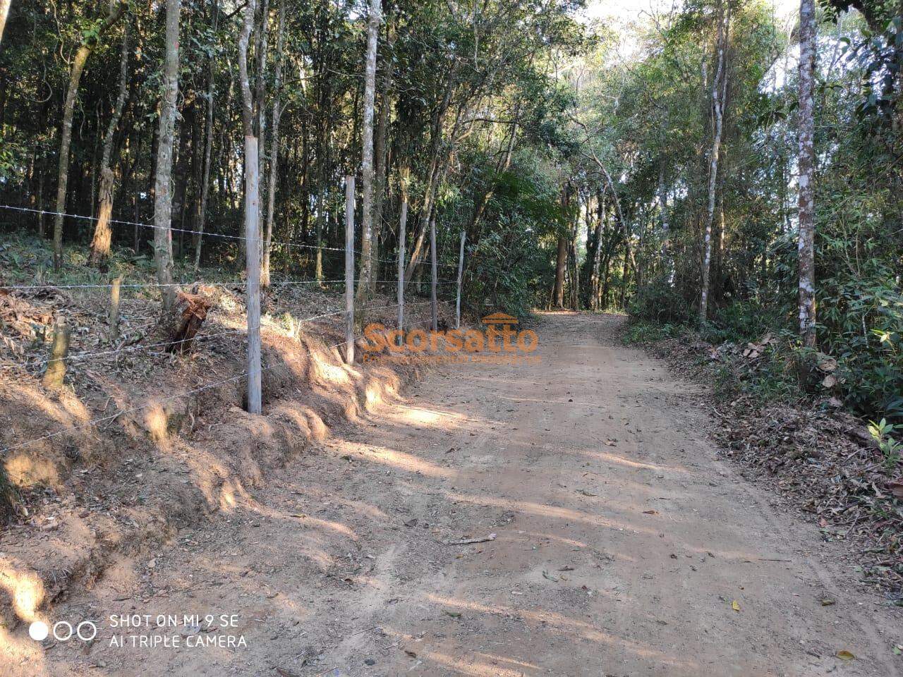 Terreno à venda no Palmeiras: 