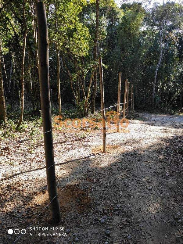 Terreno à venda no Palmeiras: 