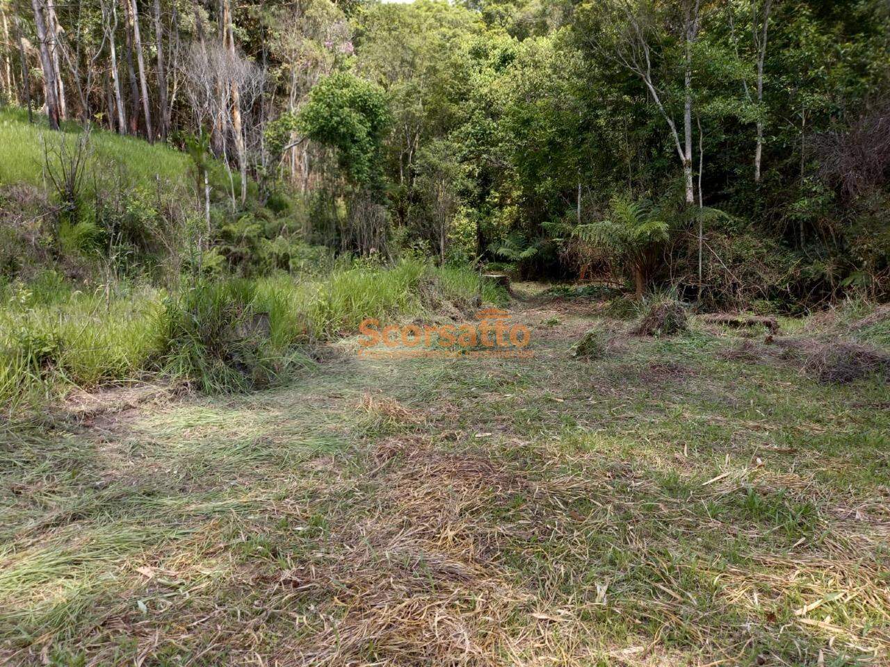 Área à venda no Itaquaciara : 