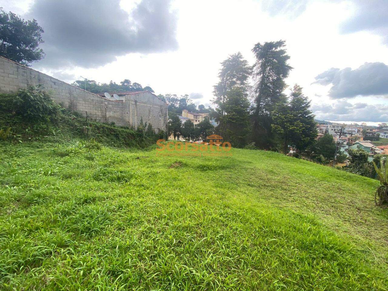 Terreno de Condomínio à venda no Parque Delfim Verde: 