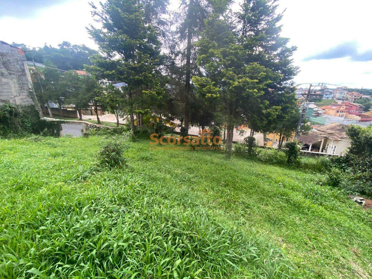 Terreno de Condomínio à venda no Parque Delfim Verde: 