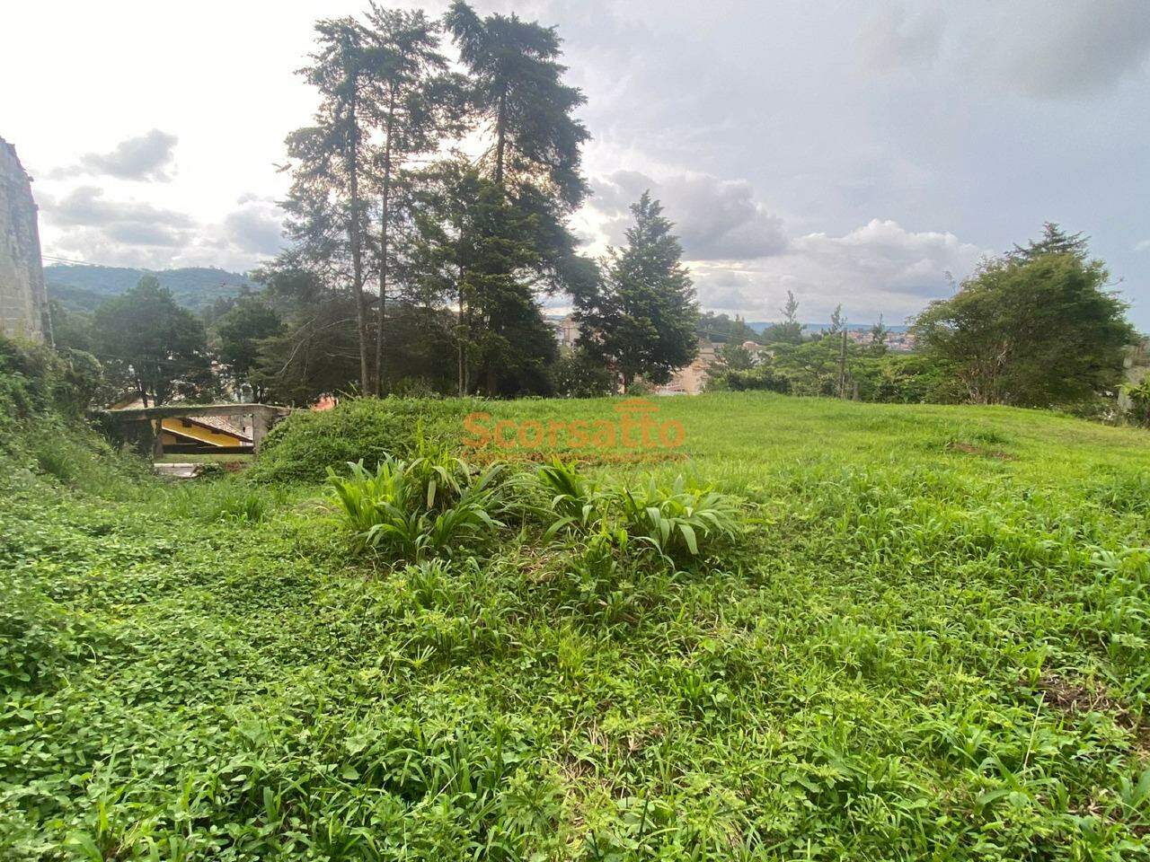 Terreno de Condomínio à venda no Parque Delfim Verde: 