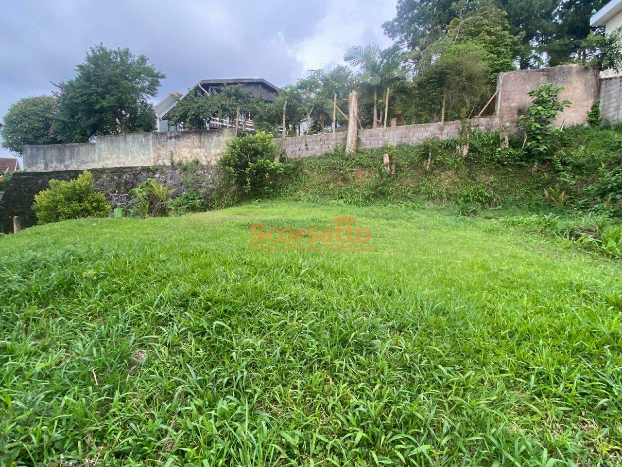 Terreno de Condomínio à venda no Parque Delfim Verde: 