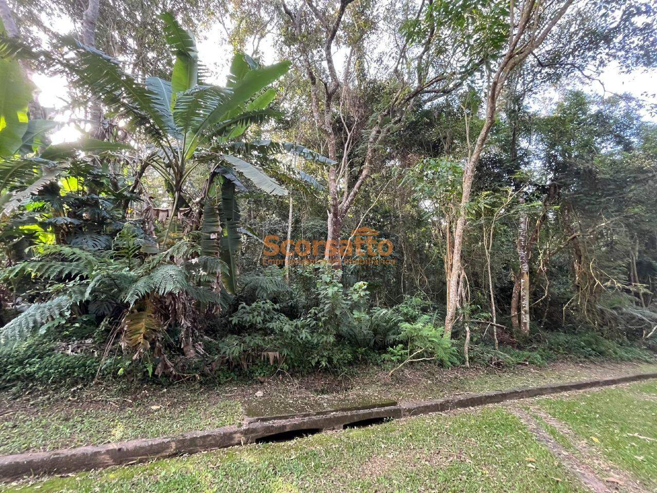 Terreno de Condomínio à venda no Jardim Petropólis: 