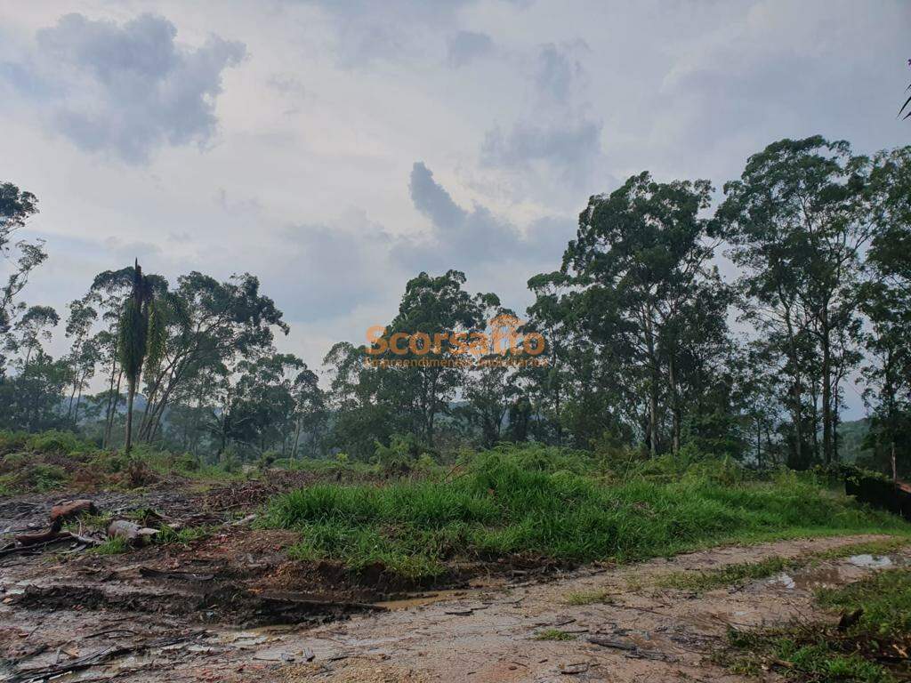 Área à venda no Embu Mirim: 