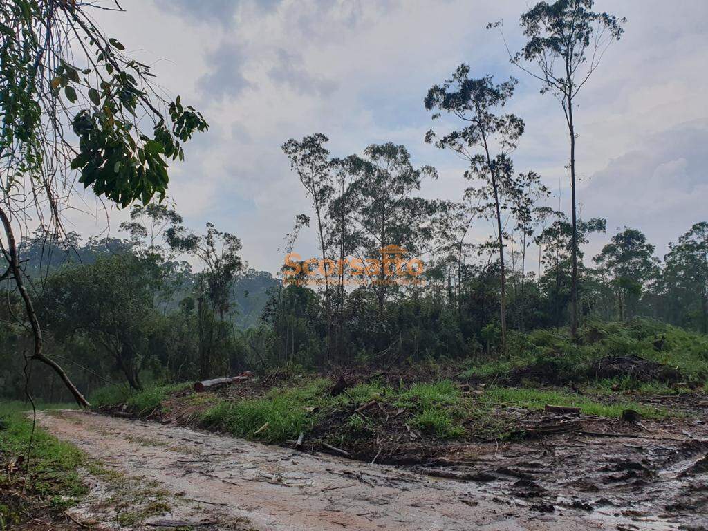 Área à venda no Embu Mirim: 