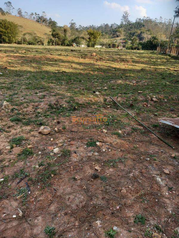 Terreno à venda no Lagoa: 