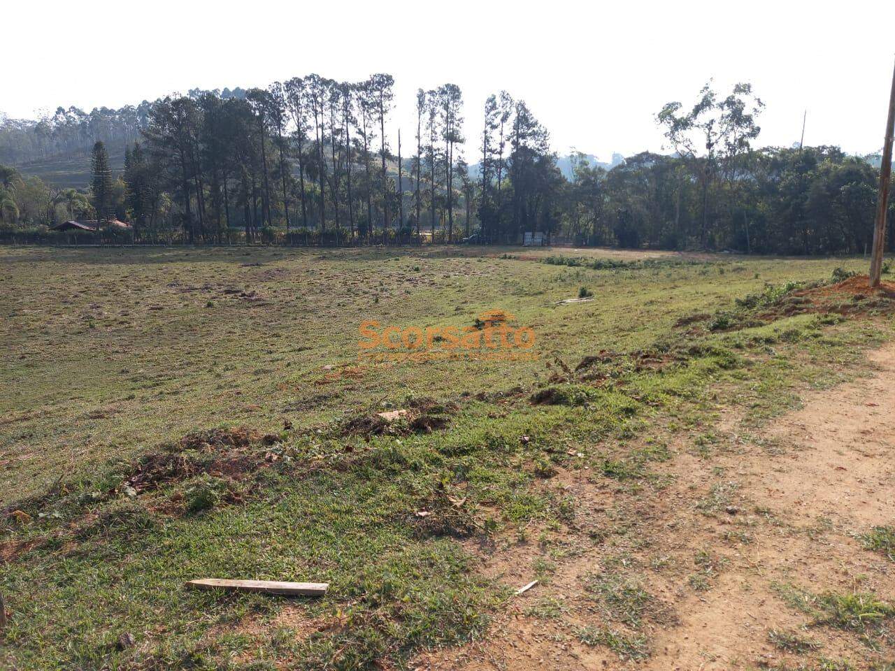 Terreno à venda no Lagoa: 