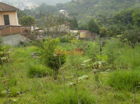 Terreno à venda no Jardim Nisalves: 