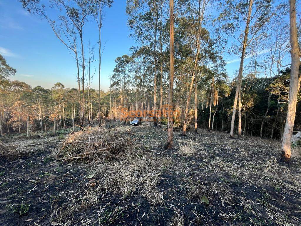 Terreno à venda no Embu Mirim: 