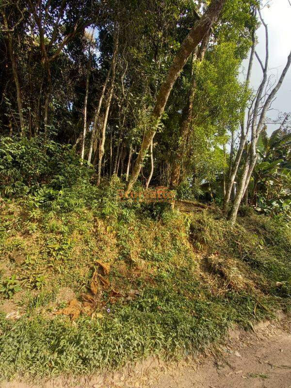 Terreno à venda no Parque Yara Cecy: 