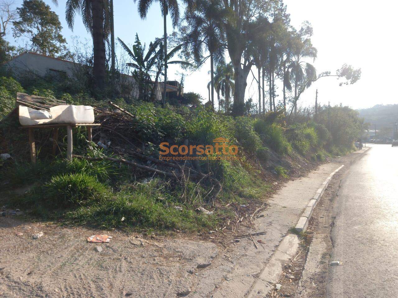 Terreno à venda no Lagoa: 