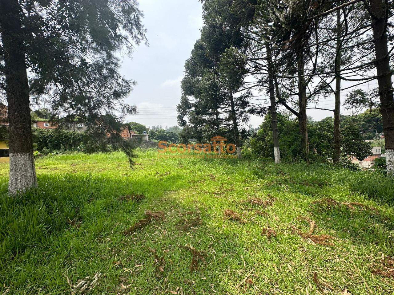 Galpão para aluguel no Jardim Itapecerica: 