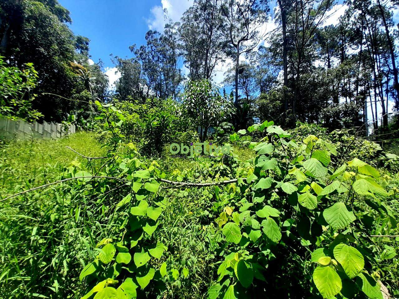 Terreno à venda no Jardim Branca Flor: 