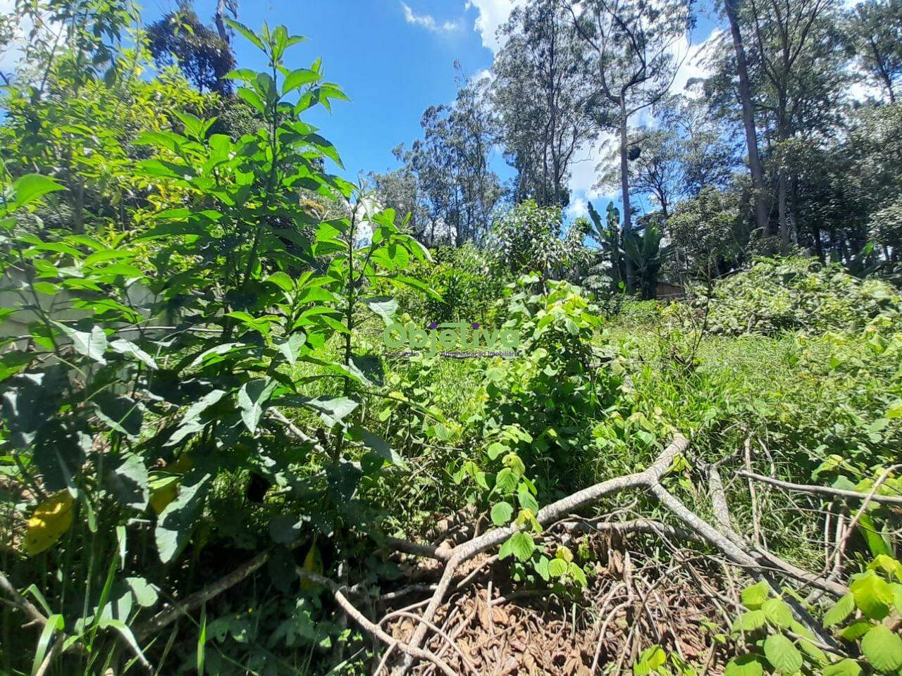 Terreno à venda no Jardim Branca Flor: 