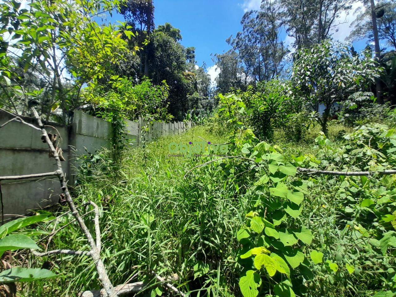 Terreno à venda no Jardim Branca Flor: 