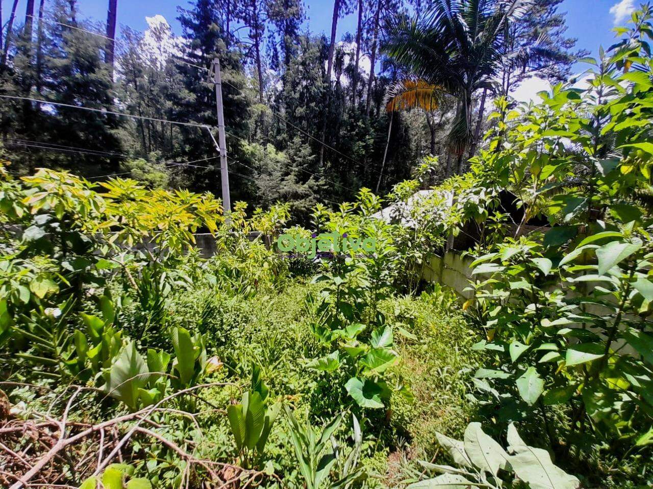 Terreno à venda no Jardim Branca Flor: 