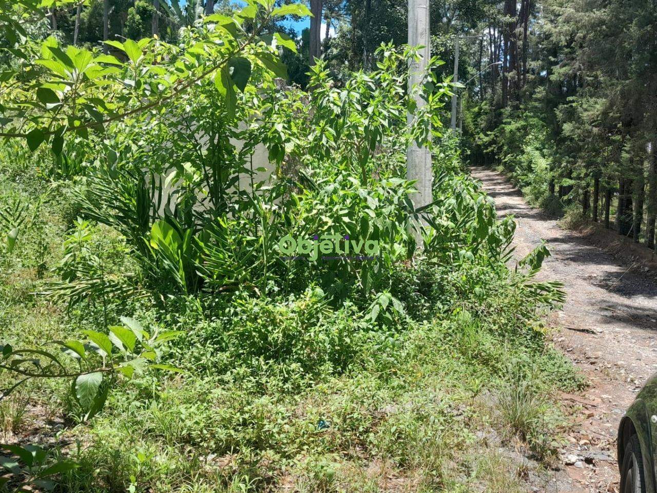 Terreno à venda no Jardim Branca Flor: 