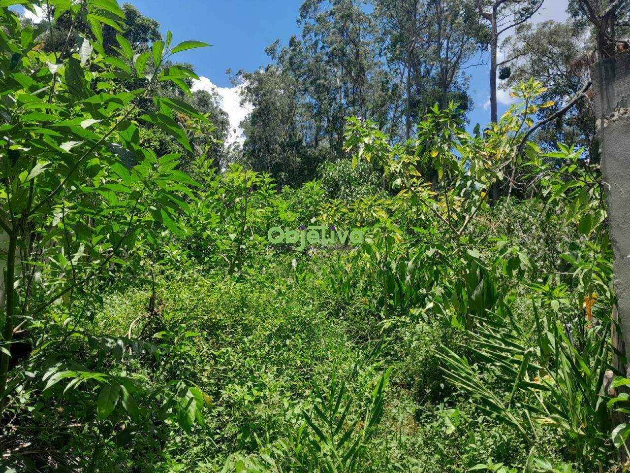 Terreno à venda no Jardim Branca Flor: 