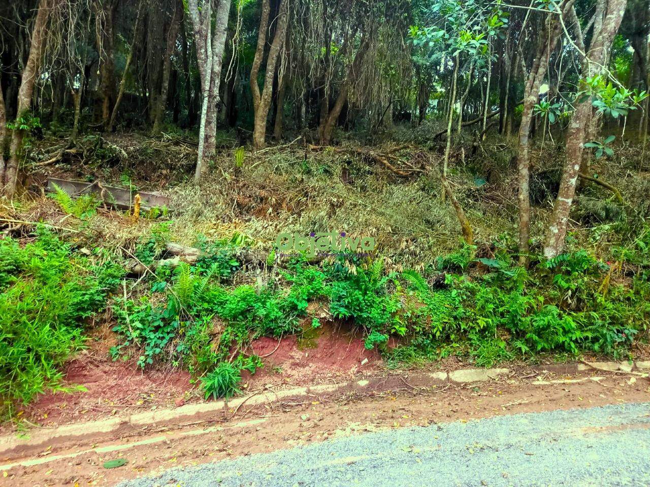 Terreno à venda no Lagoa da Prata: 