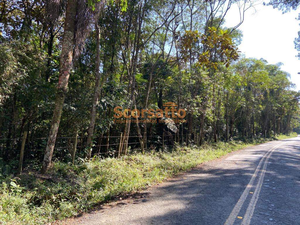 Terreno à venda no Palmeiras: 