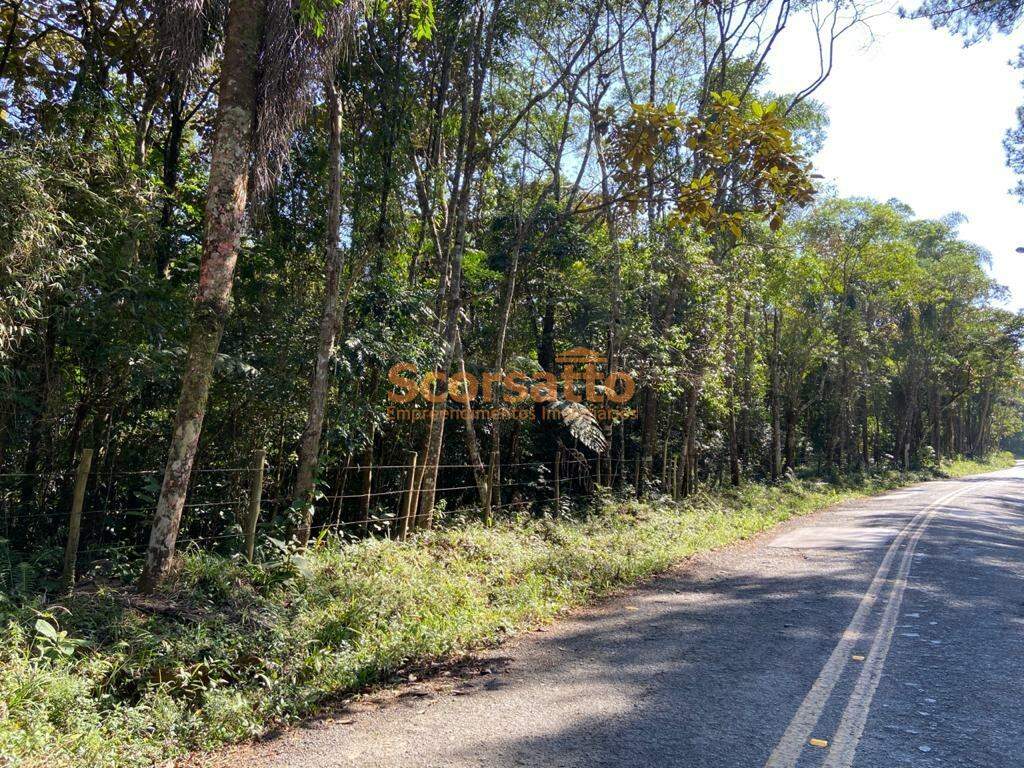 Terreno à venda no Palmeiras: 