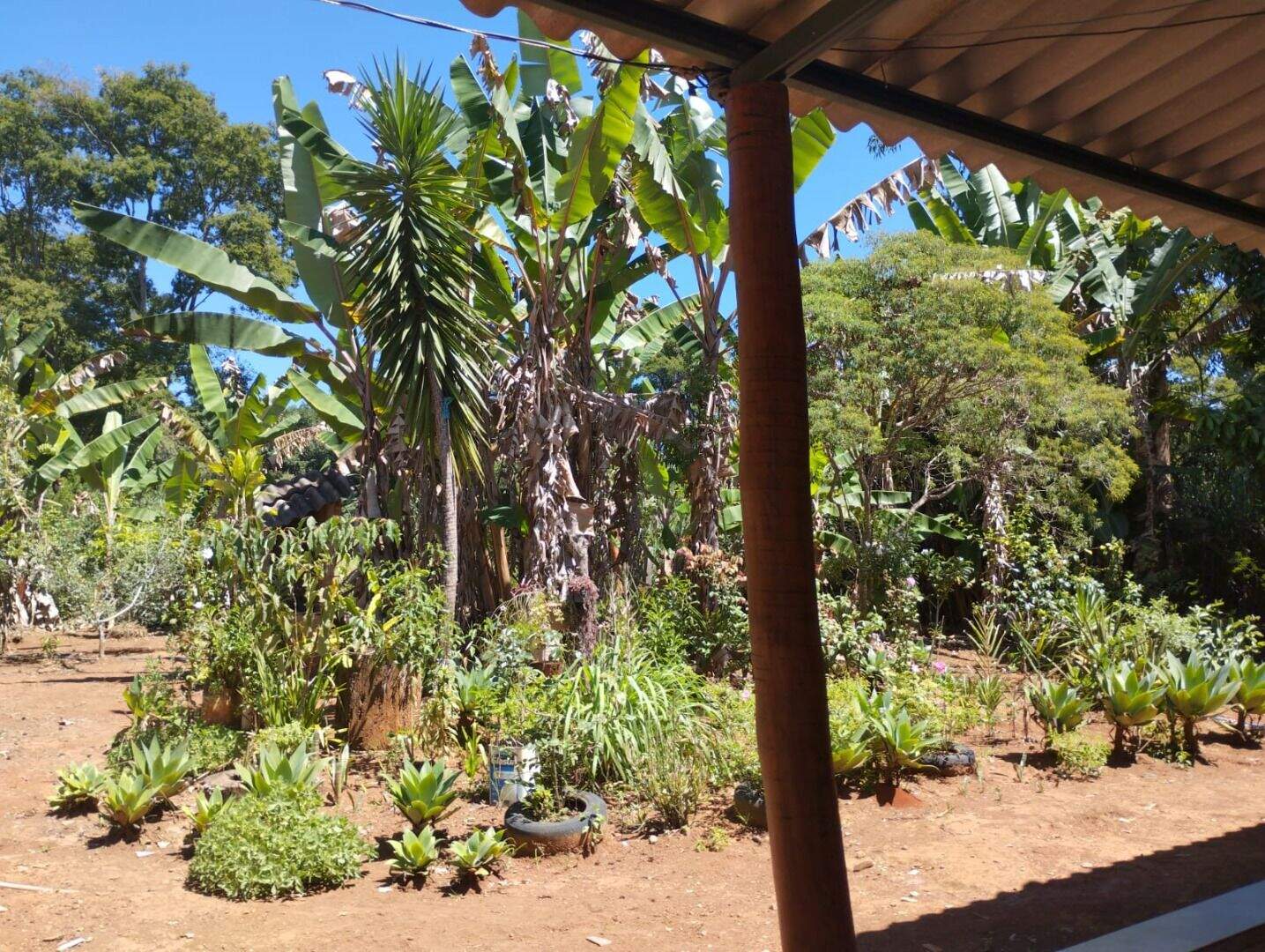 Chácara à venda no Zona Rural: 