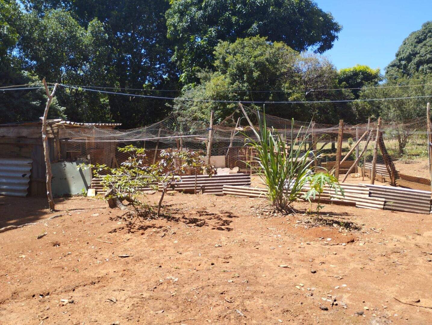 Chácara à venda no Zona Rural: 