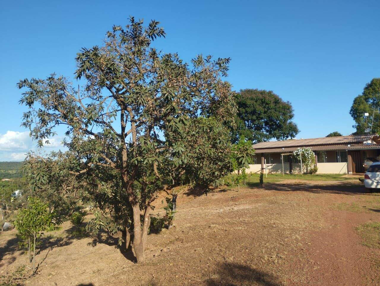 Chácara à venda no Zona Rural: 