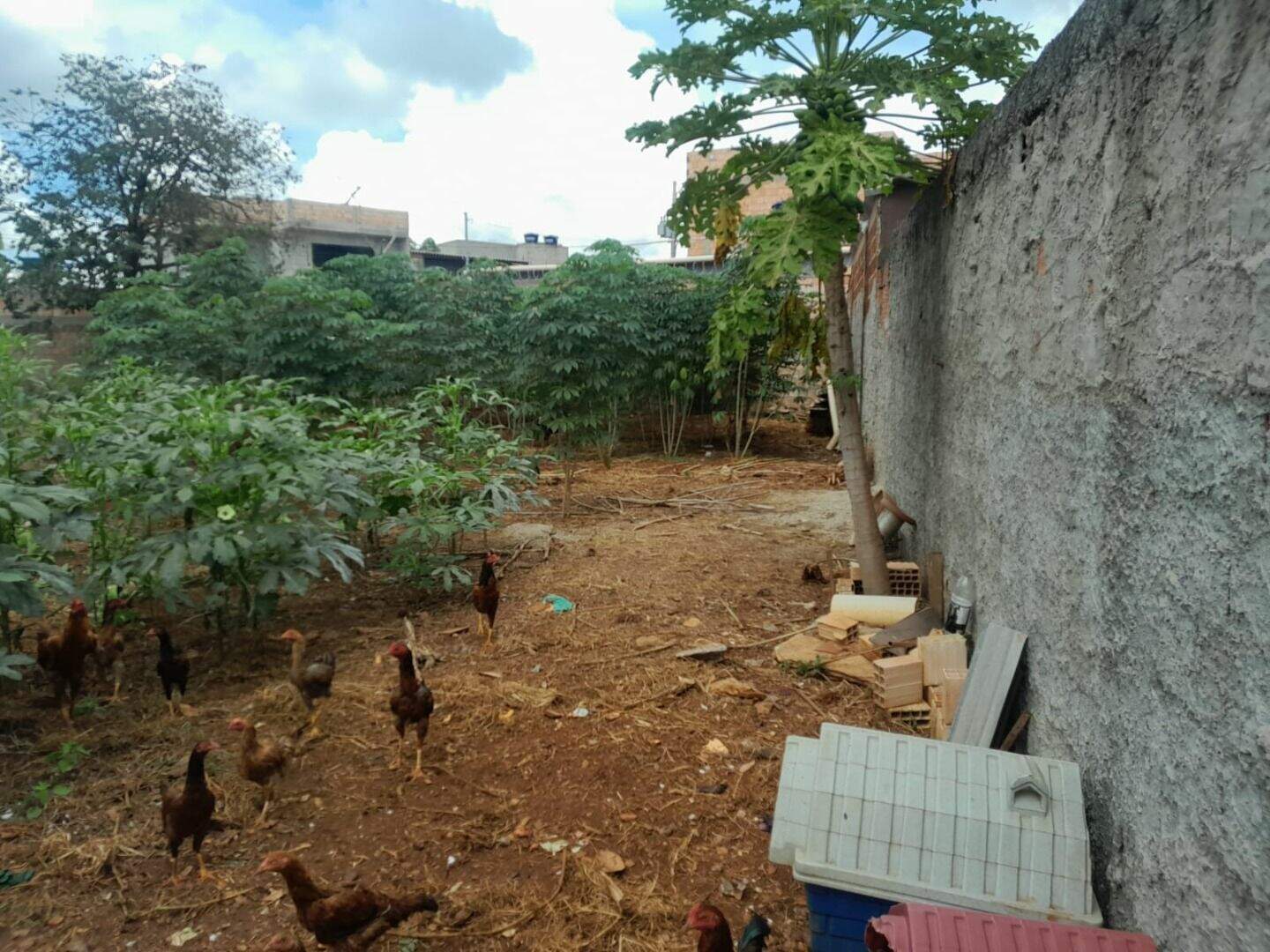 Terreno à venda no Residencial Morro da Cruz (São Sebastião): 