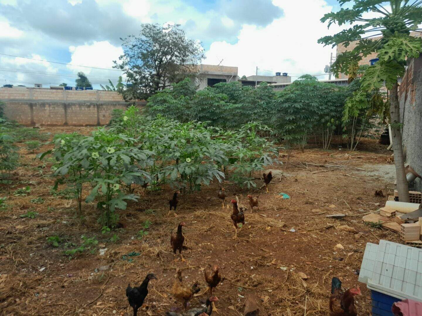 Terreno à venda no Residencial Morro da Cruz (São Sebastião): 