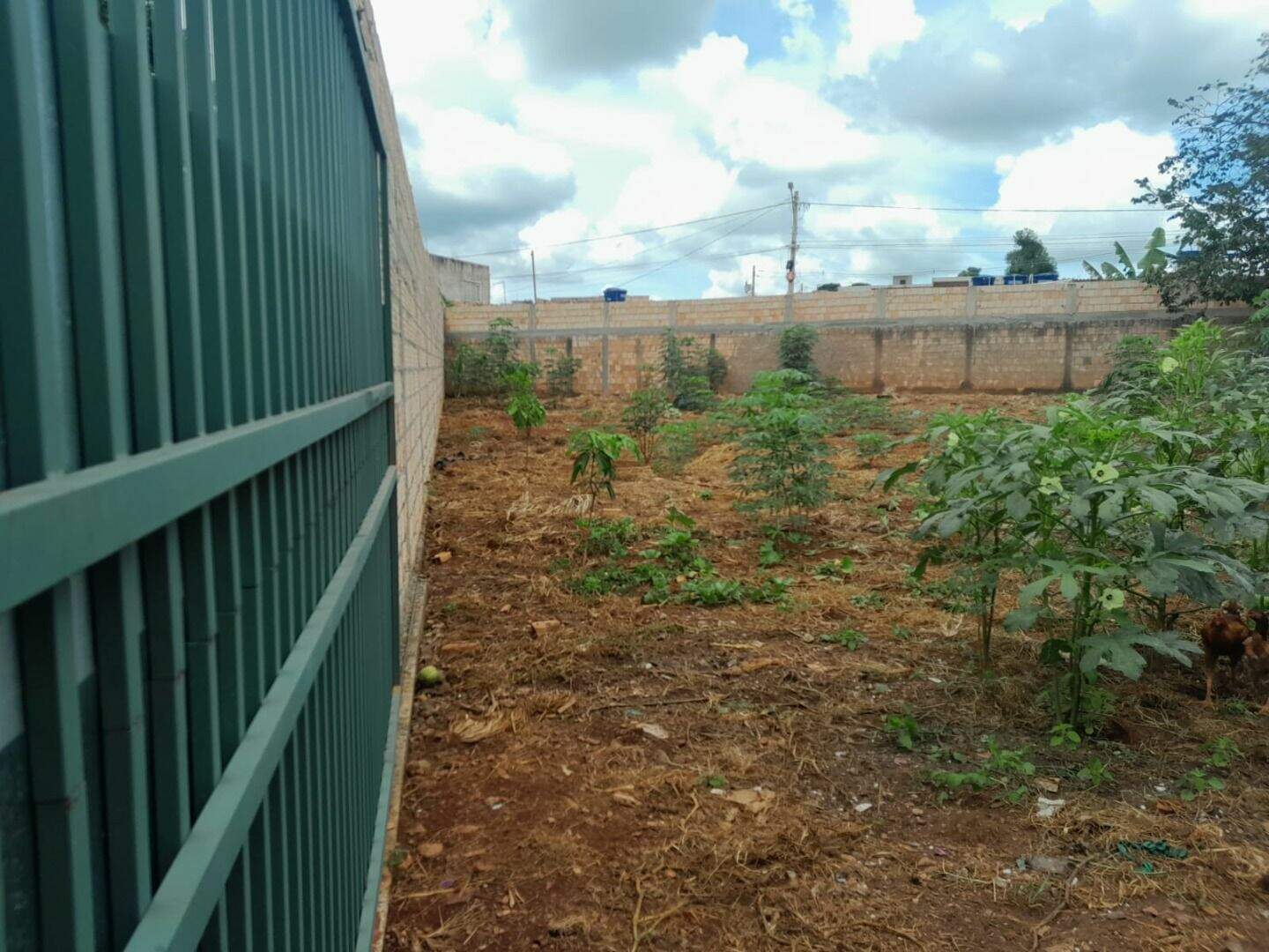 Terreno à venda no Residencial Morro da Cruz (São Sebastião): 