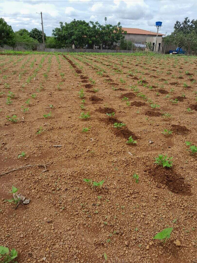 Chácara à venda no Área Rural de São Sebastião: 