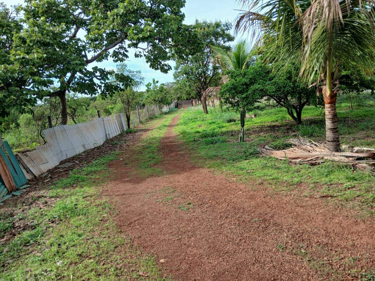 Chácara à venda no Área Rural de São Sebastião: 