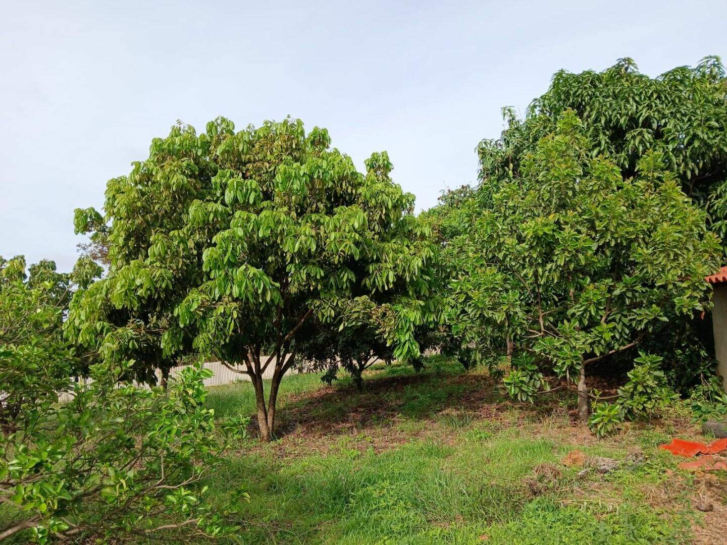 Chácara à venda no Área Rural de São Sebastião: 