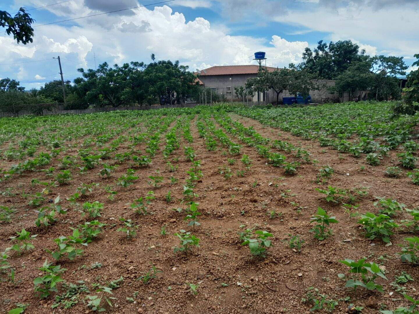 Chácara à venda no Área Rural de São Sebastião: 