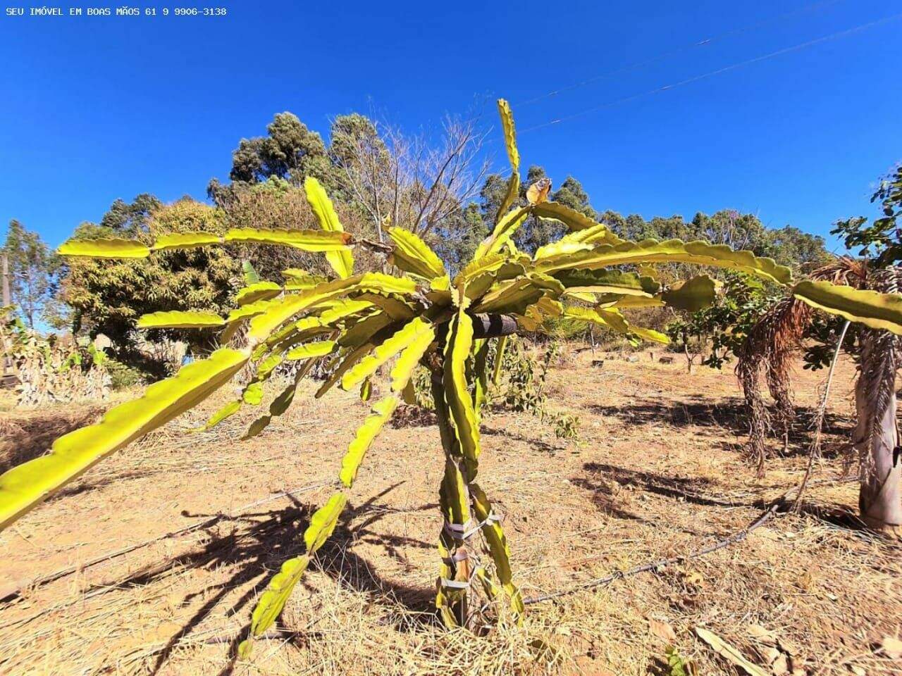 Chácara à venda no Área Rural de São Sebastião: 