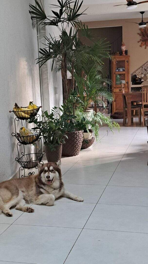 Casa à venda no Das Águas: 
