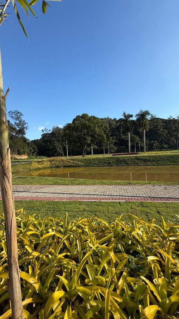 Terreno à venda no Primavera: 