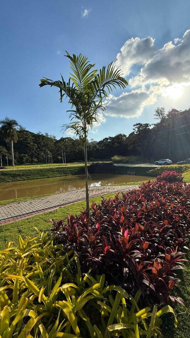 Terreno à venda no Primavera: 